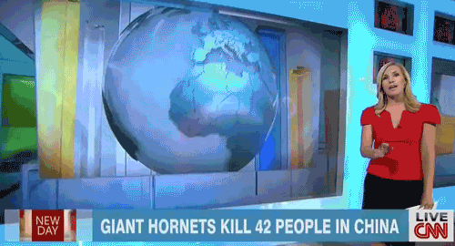 Geography Fail DAGIANT HORNETS KILL 42 PEOPLE IN CHINA LIVE CNN