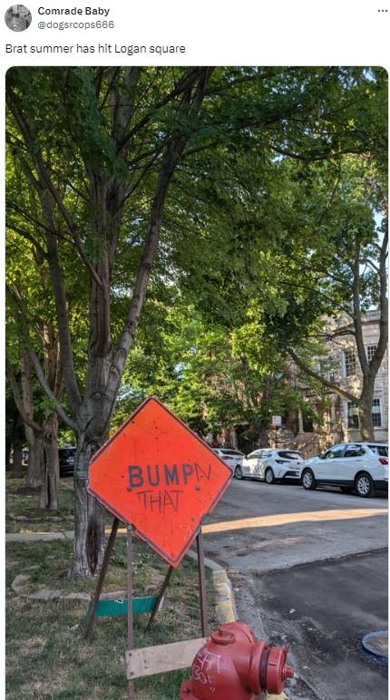 Brat summer has hit Logan square Comrade Baby @dogsrcops666 Brat summer has hit Logan square BUMPN THAT