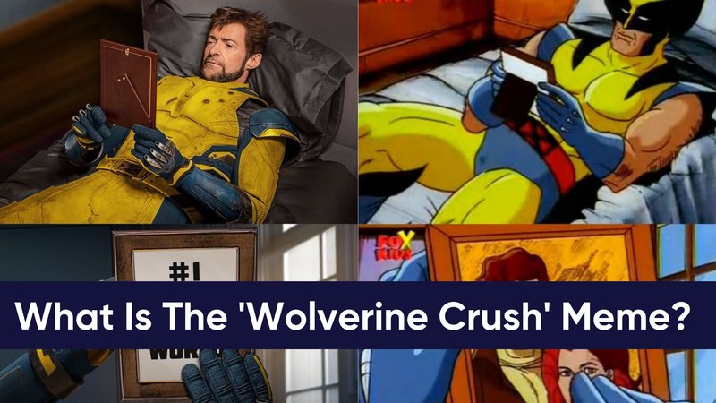What Is The 'Wolverine Crush' Meme? The Wolverine Meme Recreated By Hugh Jackman Explained Wolverine Crush meme