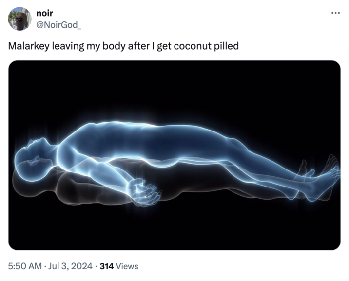 Malarkey Leaving my body noir @NoirGod_ Malarkey leaving my body after I get coconut pilled • 5:50 AM Jul 3, 2024 314 Views